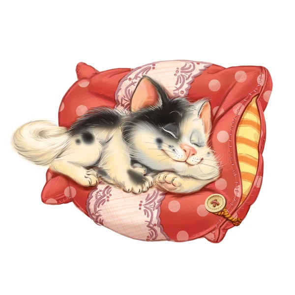Card  lovely cat sleeps on a pillow — 图库照片