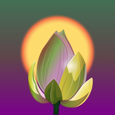 Lotus ve gündoğumu