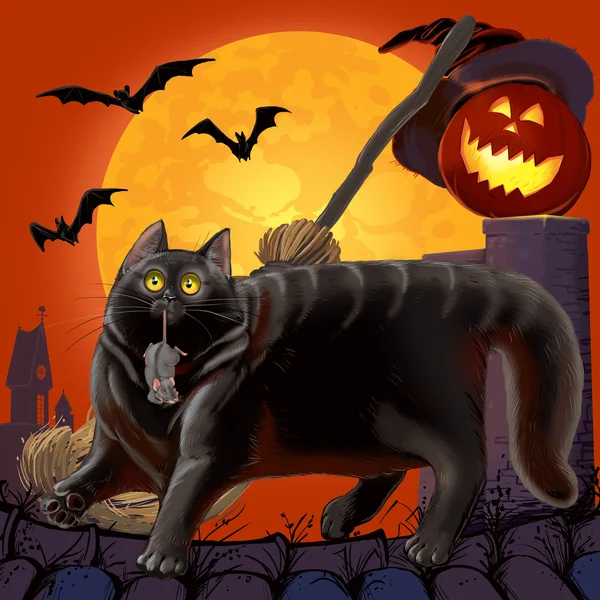 Halloween rädd katt och råtta med pumpa. — Stockfoto
