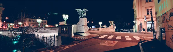 Panorama z Dragon bridge — Zdjęcie stockowe