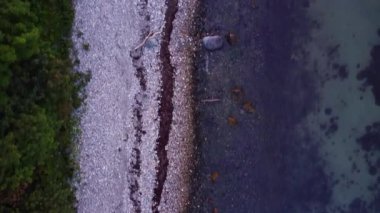 Danimarka 'da mavi su, deniz feneri, sahil ve orman elementleriyle güzel bir manzara..