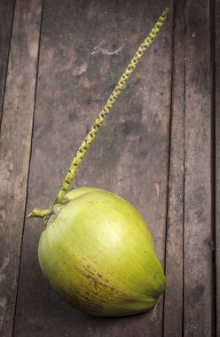 ahşap zemin üzerine yeşil Hindistan cevizi