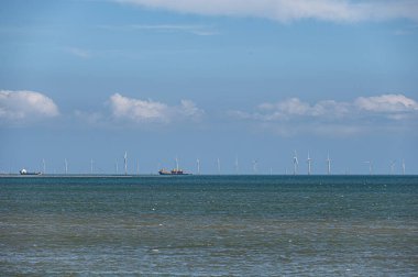 Yazın güneşli bir günde, sürat teknesi mavi denizde hızlı sürdü.