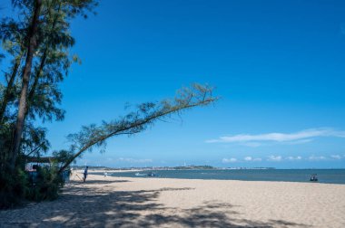 Mavi gökyüzü ve kumsal vardı, ve çapraz büyüyen bir parça sarı kumsal