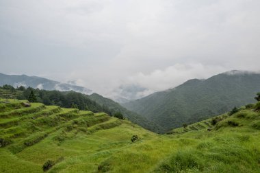 Dağ sisle doluydu ve dağın önünde yeşil alanlar vardı.