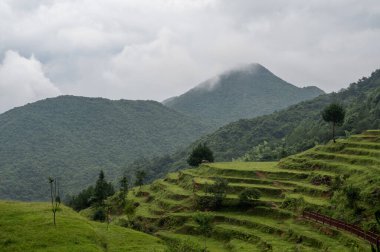 Dağ sisle doluydu ve dağın önünde yeşil alanlar vardı.