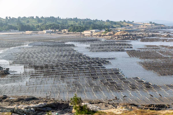 Çiftlikteki ahşap çerçeve ve ipin çizgileri ve dokuları bulutlu günlerde kumsalda.