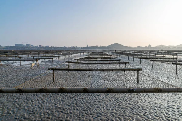Çiftlikteki ahşap çerçeve ve ipin çizgileri ve dokuları bulutlu günlerde kumsalda.