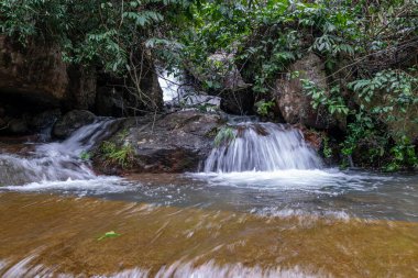 İlkel ormanda küçük şelaleler var. Su çok temiz.