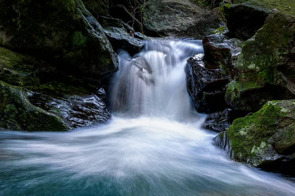 Pequenas Cachoeiras Floresta Primitiva Água Muito Clara — Fotografia de Stock