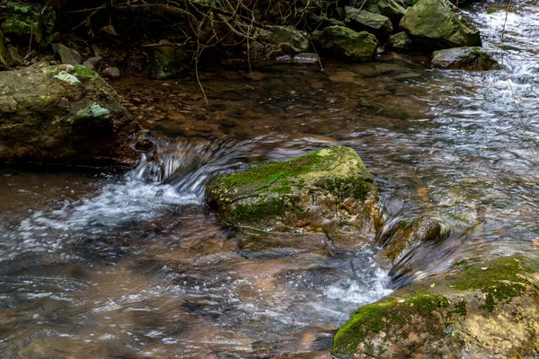 原生林には小さな滝があります 水はとても澄んでる — ストック写真