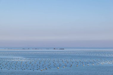 Denizin ortasında deniz, bazı adalar ve resifler suyla doludur.