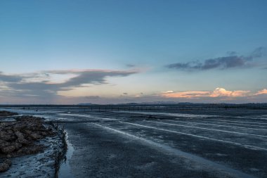 Alacakaranlıkta balık sürüsü, açık sarı ışık ve siyah kara kara
