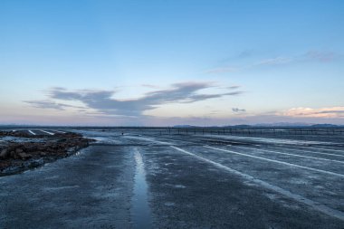 Alacakaranlıkta balık sürüsü, açık sarı ışık ve siyah kara kara