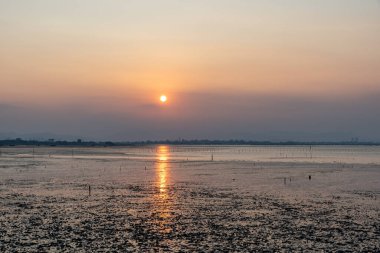 Güneş battı ve ardından gelen parıltı sığlıkta altın gibi parladı.