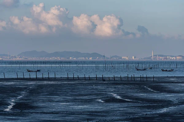 Cardumen Atardecer Luz Amarilla Tierra Negra — Foto de Stock