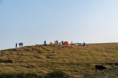 Otlaktaki gölde insanlar göl kenarında çadır kurdular.;