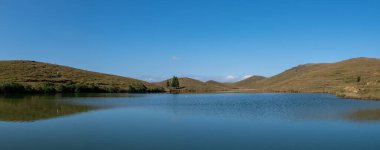 Göl kenarındaki çayır mavi ve su mavi ve çimenler sarı