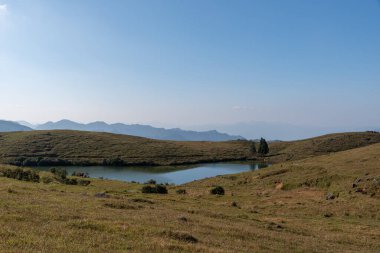 Çayırdaki doğal göl manzarası, mavi gökyüzü, berrak su ve sarı otlar.