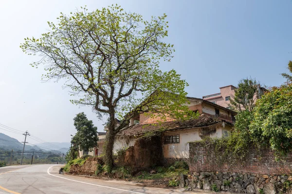 There is a tree beside the house by the road