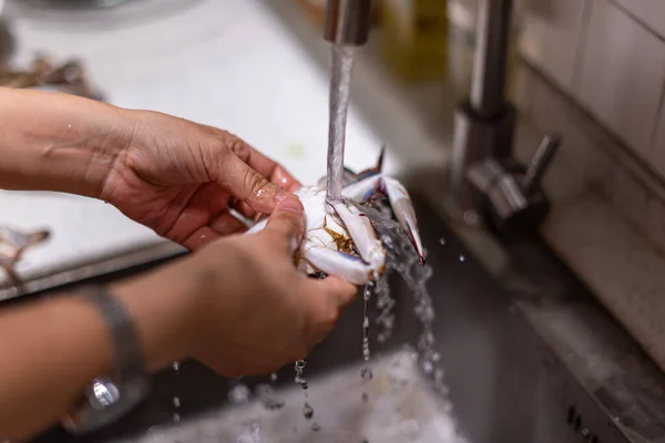 Groenten Wassen Vlees Snijden Koken Voor Een Diner — Stockfoto