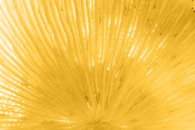 Soyut arkaplan, mineral kesitini düzenle