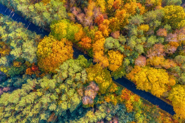 Flygfoto Vägen Genom Färgglada Höstskog — Stockfoto