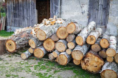 Kesilmiş bir odun yığını, kış için bir rezerv.
