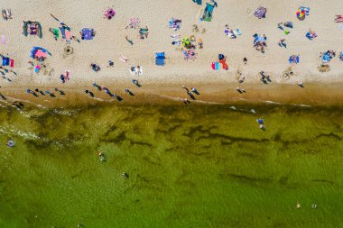 Yaz mevsiminde yukarıdan aşağıya havadan bakıldığında kalabalık bir plaj.