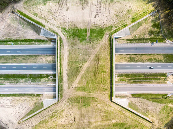 Expressway with ecoduct crossing - bridge over a motorway that allows wildlife to safely cross over the road, aerial top down view
