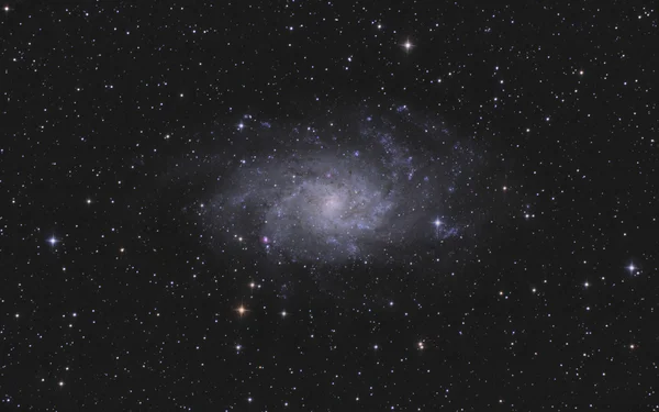 Galaxia del Triángulo en Constelación del Triángulo — Foto de Stock