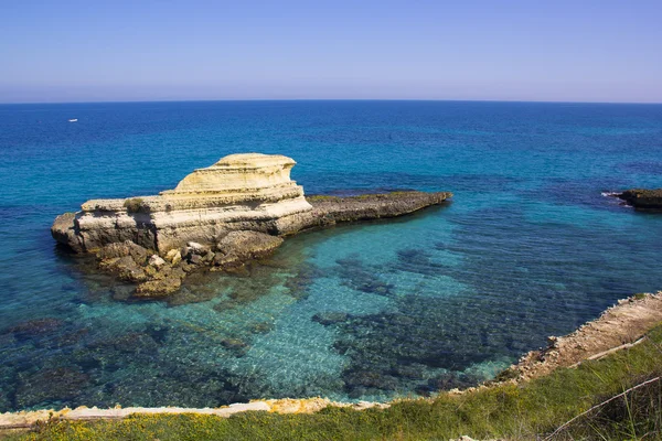 Pieux rocheux sur la côte du Salento en Italie — Photo