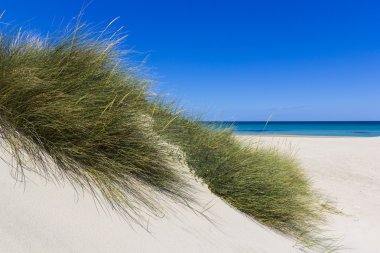 : Salento, kum tepeleri