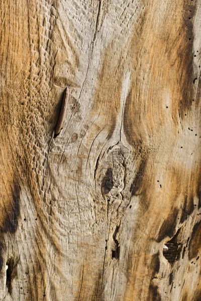 오래 된 나무 널빤지를 촘촘 하게 감아서 배경을 만든다 — 스톡 사진