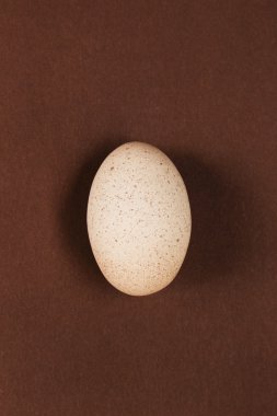 Kahverengi bir arka plan üzerinde yumurta, yukarıdan çekim
