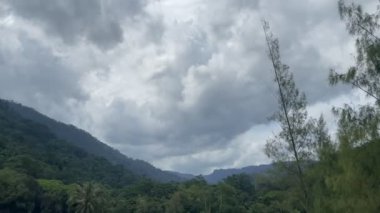 Bir orman kenarının üzerinde gerçekten inanılmaz güzel mavi gökyüzü.