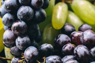 Yeşil ve mavi üzümlerin karışımı. Yemek Fotoğrafçılığı. Üzüm Duvar Kağıdı