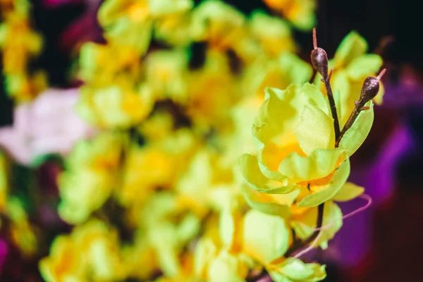 Отделение Богатыми Жёлтыми Цветами Красивые Цветы Обоев Фона Желтыми Цветами — стоковое фото