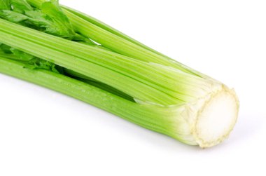 Taze yeşil kereviz beyaza izole edilmiş.