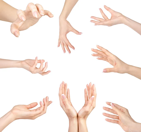 Collage of Woman zestaw gestów rąk, na białym tle. — Zdjęcie stockowe