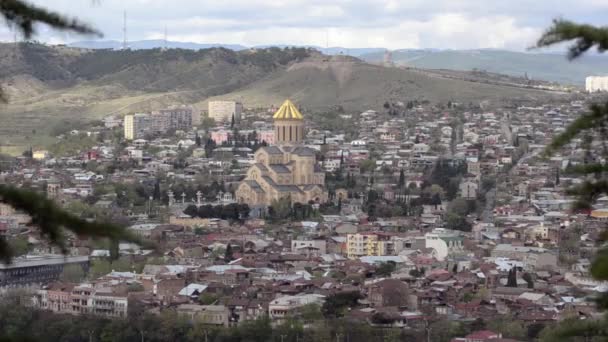 Vista Tiflis, Catedral de Sameba y las montañas, ramas de abeto en primer plano — Vídeos de Stock