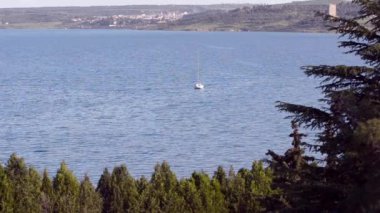 Gördün mü ağaçları Tbilisi denizin sönük yelken ile tekne