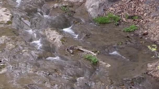 Широкий горный ручей течет с высоты на скалах — стоковое видео