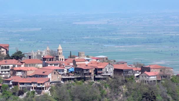 View of the town of Sighnaghi and Alazani Valley. Clear sunny weather — Stock Video