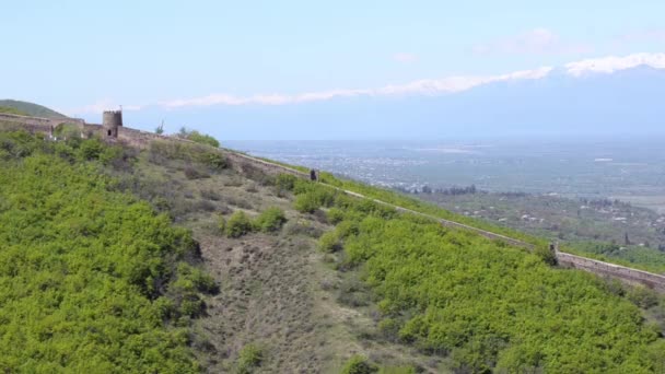 General view of the fortress wall of Sighnaghi and Alazani valley on a background of snow-capped mountains, spring, sunny — Stock Video