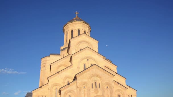 Widok Sameba z dołu na błękitne niebo, zbliżenie — Wideo stockowe