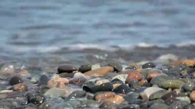 Deniz dalgaları yendi ve büyük bir çok renkli çakıl döktü. Close.