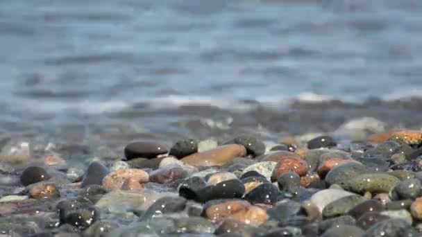 Sea waves beat and poured a large multi-colored pebbles. Close-up. — Stock Video