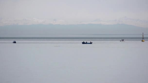 Buceos de delfines rodeados de barcos contra el telón de fondo de montañas nevadas. Mar Negro Batumi, Georgia . — Vídeos de Stock