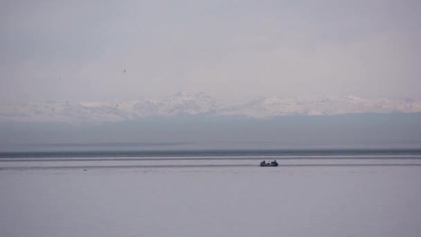 The boat drifts near the diving dolphin pack on the background of snow-capped mountains. Black Sea, Batumi, Georgia — Stock Video